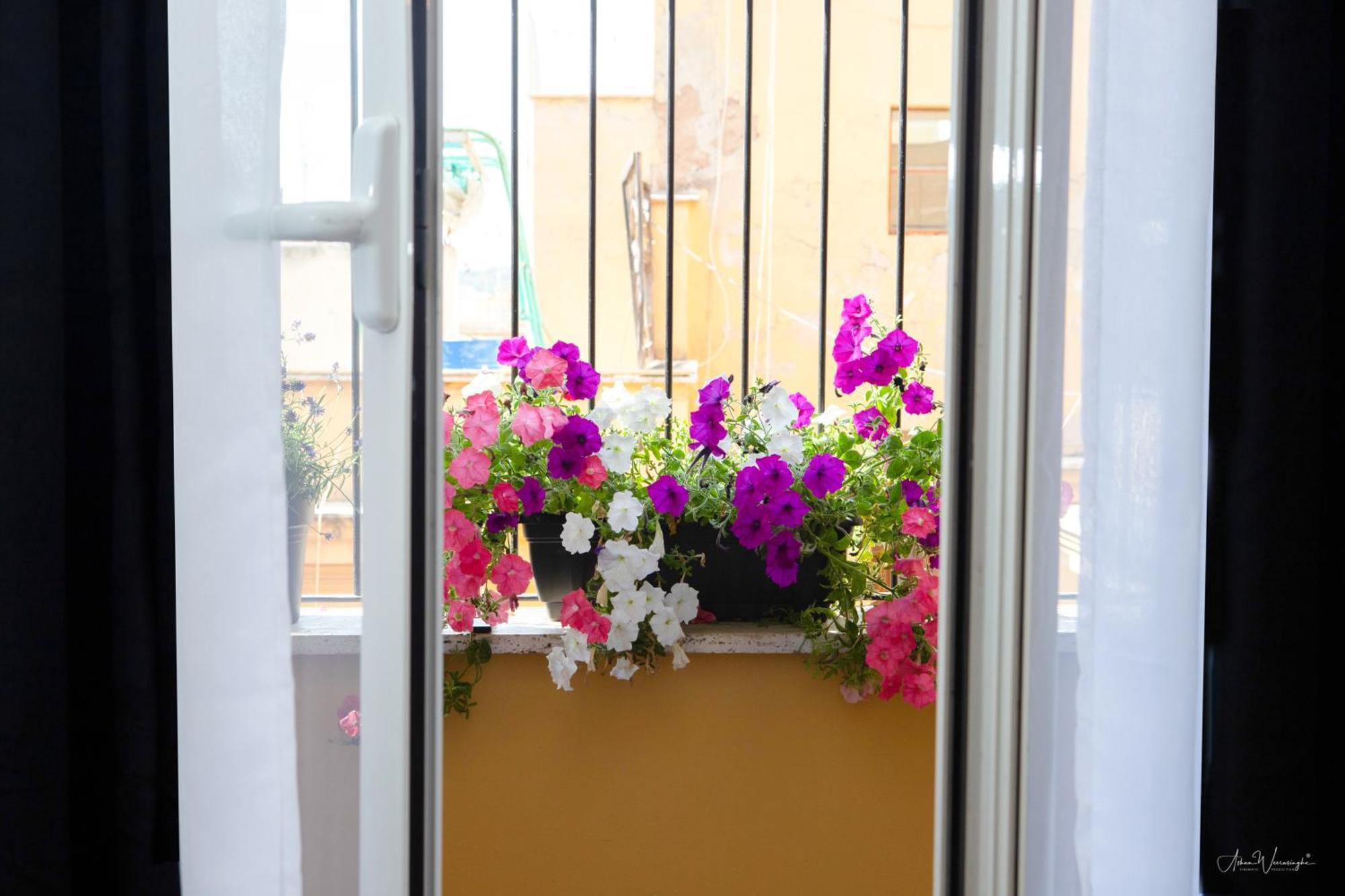 רומא Magikrooms Topaz מראה חיצוני תמונה